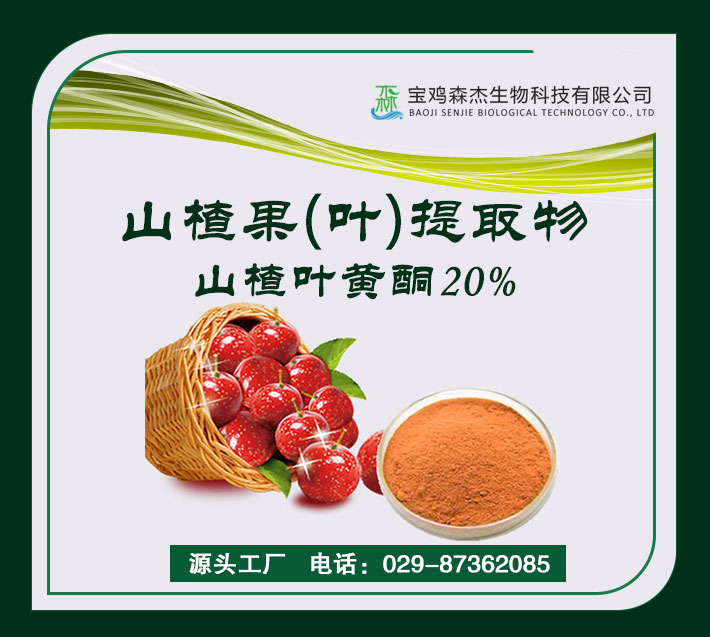 Hawthorn Leaf Extract